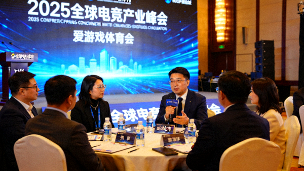 爱游戏体育代表在2025全球电竞产业峰会参与小组讨论